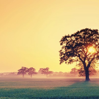 1920 x 1080 HD Wallpapers 1437